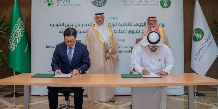 اتفاقية سعودية كورية لتوطين إنتاج تقاوي البطاطس - هرم مصر