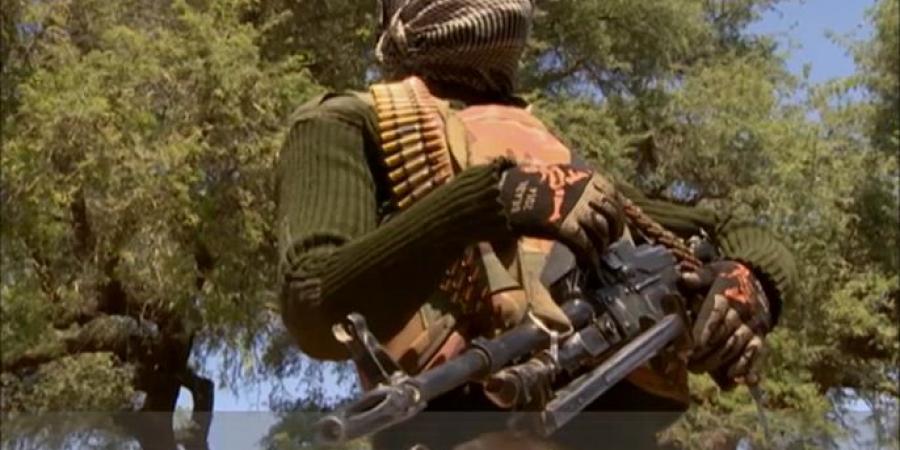 نيجيريا تعلن مقتل 60 مسلحا من بوكو حرام وتنظيم الدولة - هرم مصر