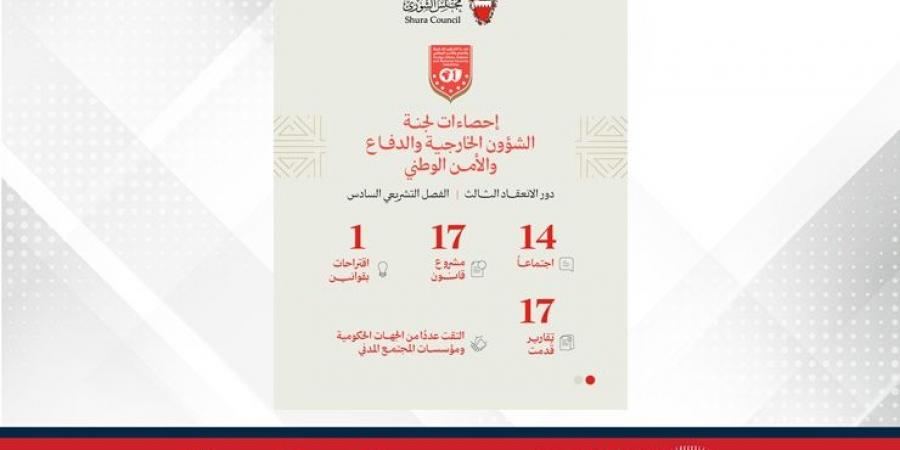 "خارجية الشورى" تنجز 17 تقريرًا من بينها 16 مشروع قانون خلال دور الانعقاد الثالث - هرم مصر