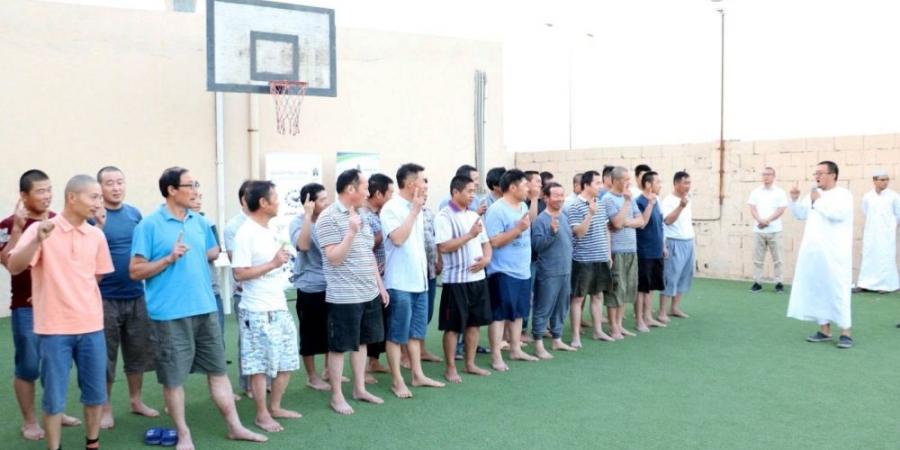 هداية المليار لتعريف 3 جاليات بالإسلام - هرم مصر