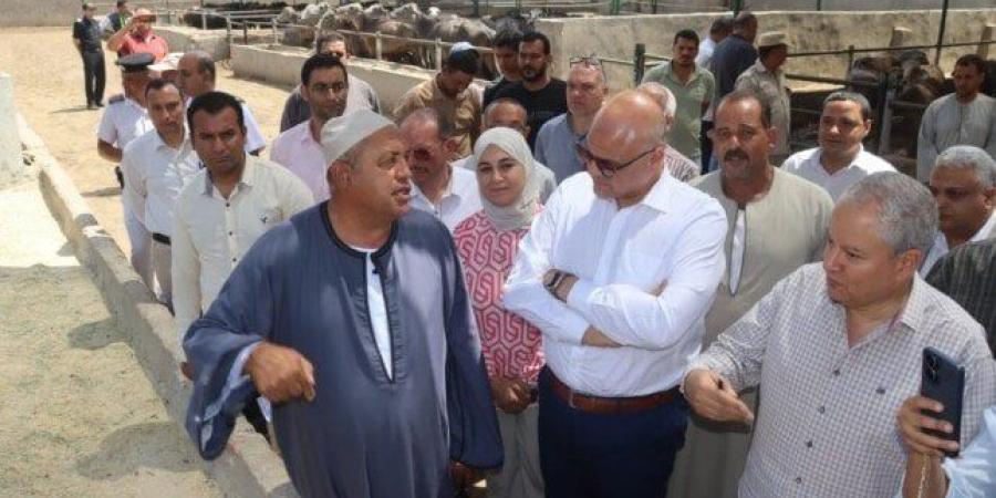 محافظ القليوبية يتفقد مزرعة متخصصة فى تربية الثروة الحيوانية بقرية العمار بطوخ - هرم مصر