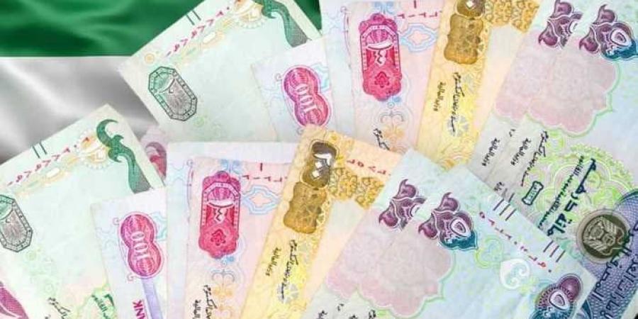 سعر الدرهم الإماراتي مقابل الجنيه اليوم السبت 31 مايو 2025 - هرم مصر