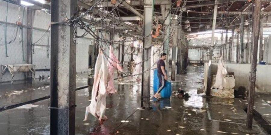 السكرتير العام المساعد لمحافظة الإسماعيلية يتفقد المجزر الآلي بأبو خليفة وأبو صوير - هرم مصر