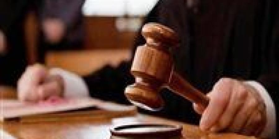 تأجيل محاكمة عنصر إرهابي بـ "خلية الذئاب المنفردة" لمرافعة النيابة - هرم مصر