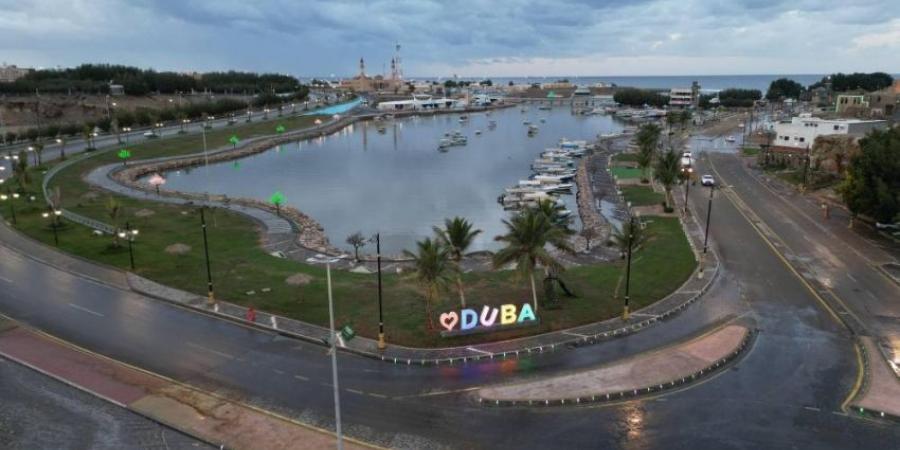 200 حديقة وواجهة بحرية تستقبل أهالي تبوك وزوارهارخلال عطلة عيد الاضحي - هرم مصر