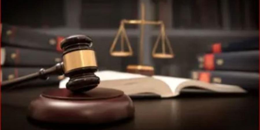 تأجيل محاكمة 16 متهما بخلية «الهيكل الإداري بالهرم» لجلسة 7 يوليو - هرم مصر
