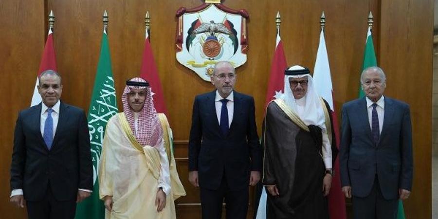 وزير الخارجية يشدد على موقف مصر الثابت برفض مخططات تهجير الشعب الفلسطيني - هرم مصر
