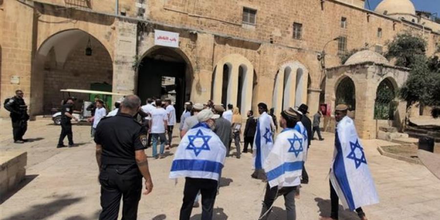 القدس في مايو.. انتهاكات صارخة في المسجد الأقصى وخارجه - هرم مصر