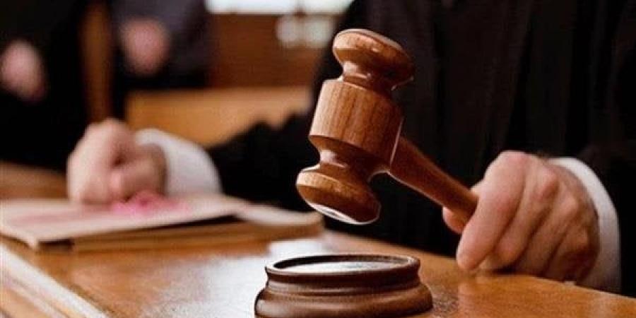 تأجيل محاكمة 22 متهما بقضية «الهيكل الإداري للإخوان» - هرم مصر