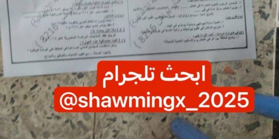 طالب يصور الامتحان "تحت التختة " وبياناته تفضحه بعد تداول الصورة بتليجرام - هرم مصر