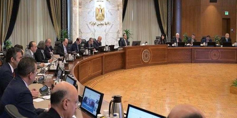 رئيس الوزراء يترأس اجتماع المجموعة الوزارية لريادة الأعمال - هرم مصر