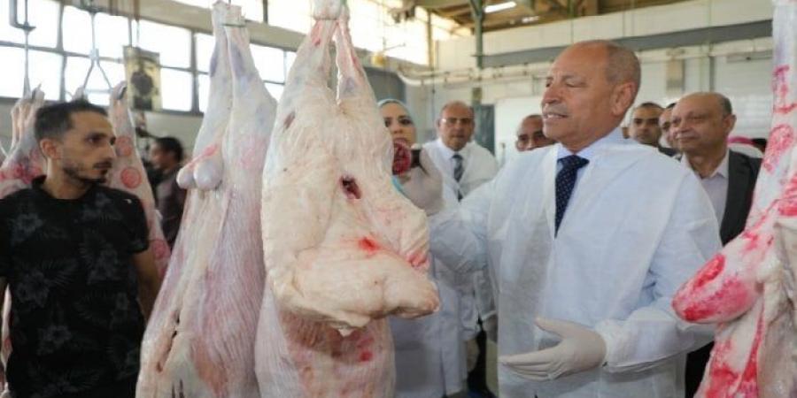 محافظ القاهرة يتفقد مجزر 15 مايو للاطمئنان على استعداداته لاستقبال عيد الأضحى - هرم مصر