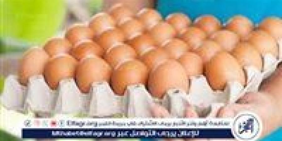 أسعار طبق البيض اليوم الاثنين 2-6-2025 في قنا - هرم مصر