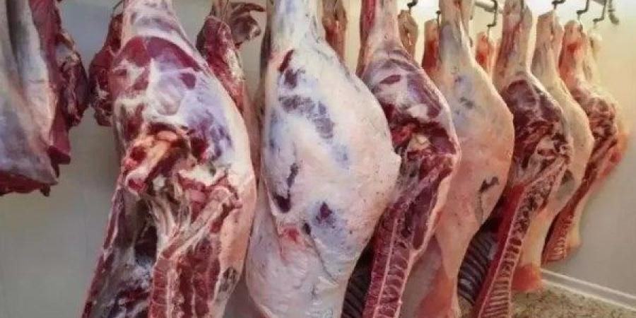 الوادي الجديد تطرح لحوم بلدية بـ280 جنيها للكيلو - هرم مصر