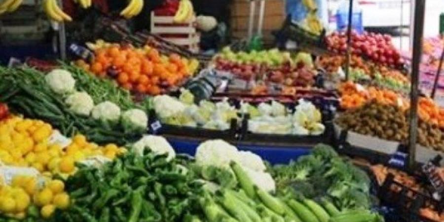 تعرف على أسعار الخضراوات والفاكهة فى أسواق أسوان اليوم الثلاثاء - هرم مصر