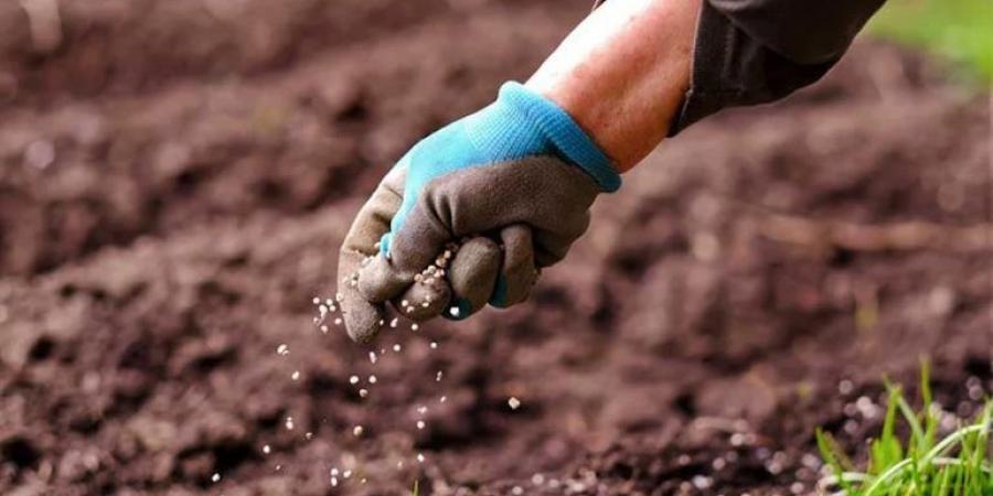 اليابان تبتكر طريقة لإنتاج "أمونيا نظيفة" باستخدام الضوء والماء - هرم مصر