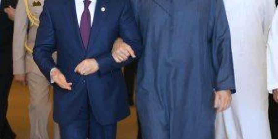الرئيس المصري والشيخ محمد بن زايد يعقدان اجتماعًا لبحث العلاقات الثنائية بين البلدين وسبل تعزيزها - هرم مصر
