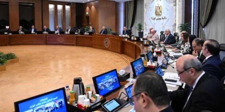 مدبولي يوجه بالشراكة مع القطاع الخاص في إدارة المصانع المطورة - هرم مصر