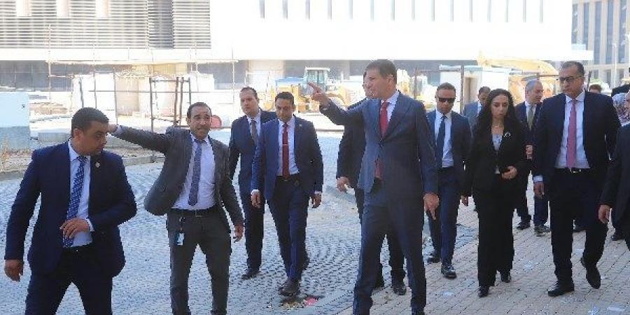 الزراعة: التعاون مع التضامن في مجالات الإنتاج الحيواني لتمكين مستفيدي تكافل وكرامة - هرم مصر