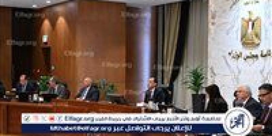 مدبولي: الموارد الدولارية تغطي الاحتياجات للأسبوع الثالث.. مؤشرات إيجابية للاقتصاد المصري - هرم مصر