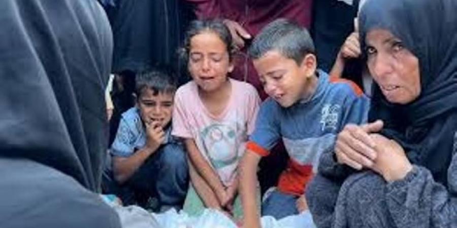مدير مجمع ناصر الطبي شهداء خان يونس غالبيتهم أطفال ونساء - هرم مصر