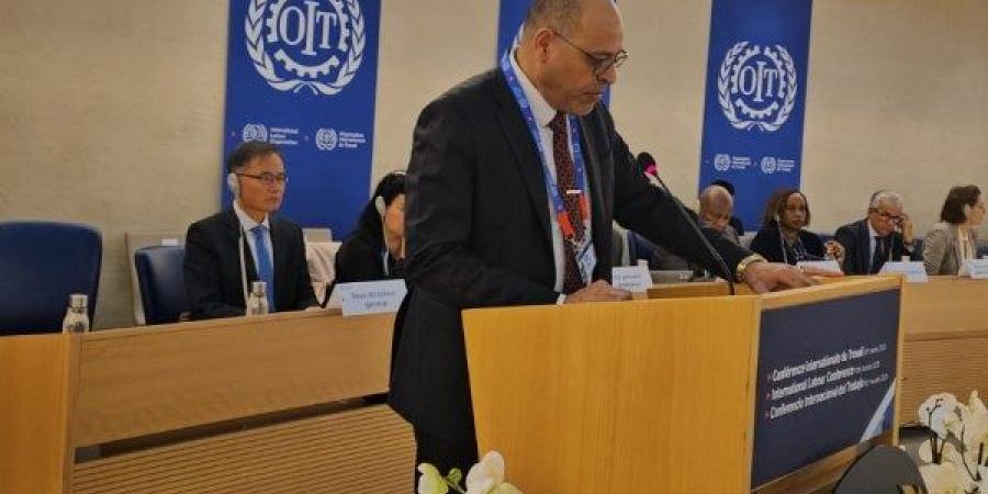 وزير العمل: انخفاص معدلات البطالة من 13% عام 2014 إلى 6.3% - هرم مصر