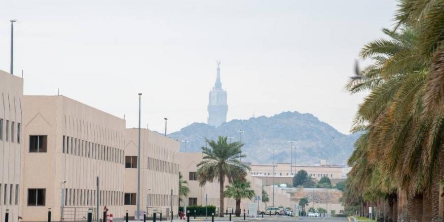 عقارات الدولة تستضيف 59 جهة حكومية لحج 1446هـ. - هرم مصر