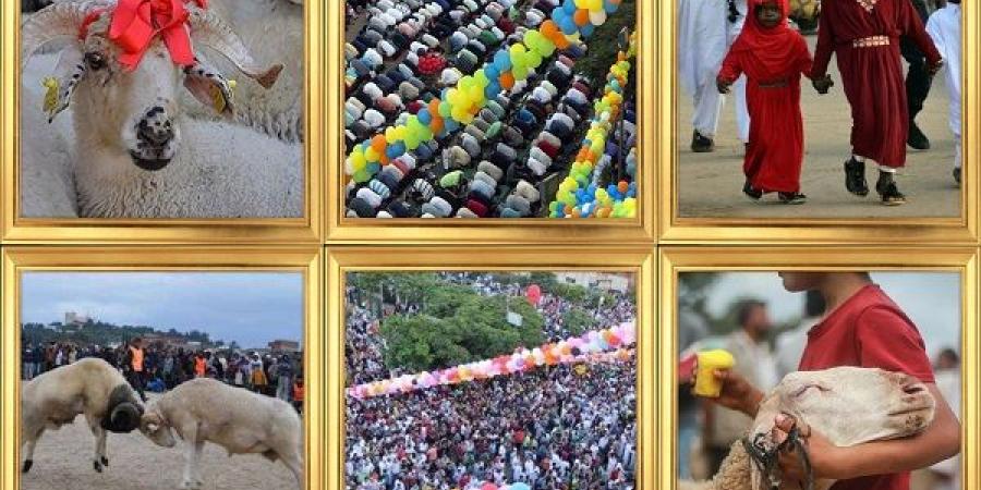 طقوس الاحتفال بعيد الأضحى حول العالم! #منوعات #اخبار_منوعة #لايف_ستايل #عيد_الأضحى #الجمهورية_أون_لاين - هرم مصر