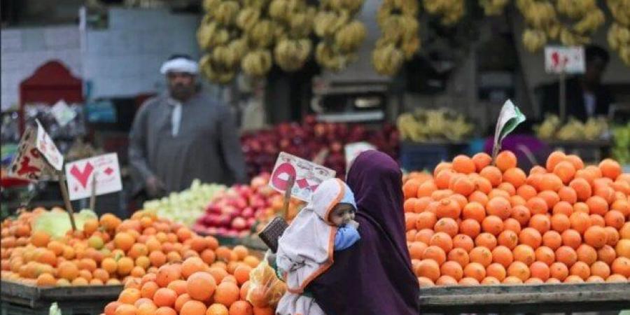 اليوم.. «التعبئة والإحصاء» تُعلن معدل التضخم الشهري خلال مايو 2025 - هرم مصر