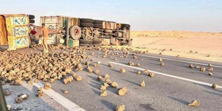 انقلاب تريلا محملة ببنجر السكر  على طريق تنيدة منفلوط بالوادي الجديد - هرم مصر