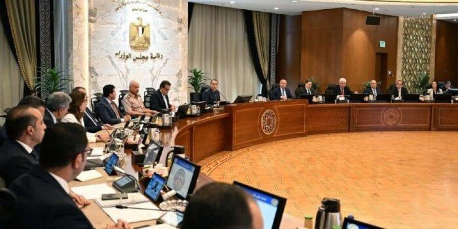 قرار جديد من مجلس الوزراء بشأن تعريفة التغذية الكهربائية لمشروعات توليد الطاقة - هرم مصر