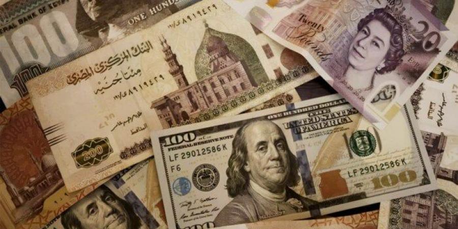 البنك المركزي: 48.526 مليار دولار صافي احتياطي النقد الأجنبي في مصر بنهاية مايو - هرم مصر