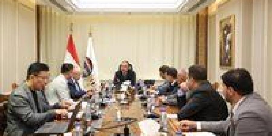 وزير قطاع الأعمال يلتقي وفدًا من "Global SAE-A" الكورية لبحث فرص التعاون - هرم مصر