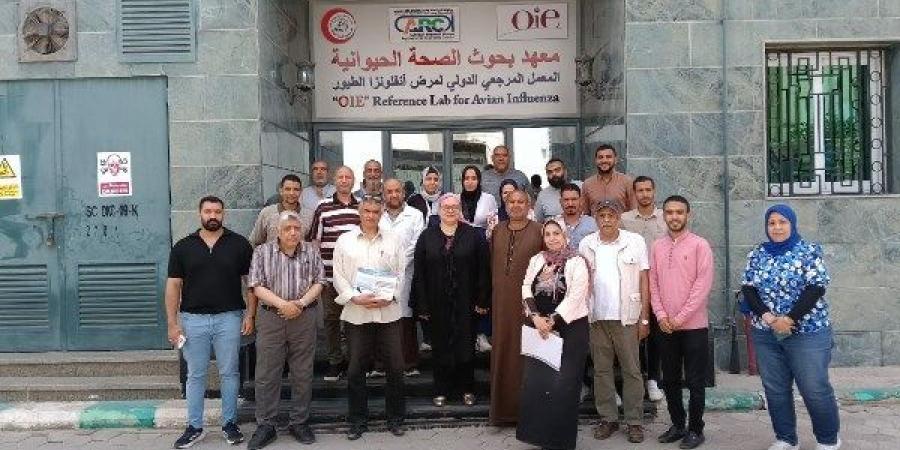 معهد الصحة الحيوانية ينظم برنامج تدريبي لمربي الدواجن والماشية بالمحافظات - هرم مصر