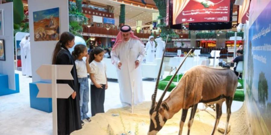 قطر تحيي يوم البيئة العالمي للبيئة بفعاليات وحملات توعوية - هرم مصر