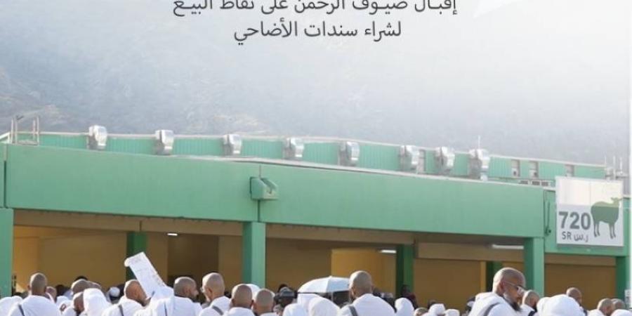 أضاحي تبدأ عملياتها التشغيلية في يوم النحر - هرم مصر