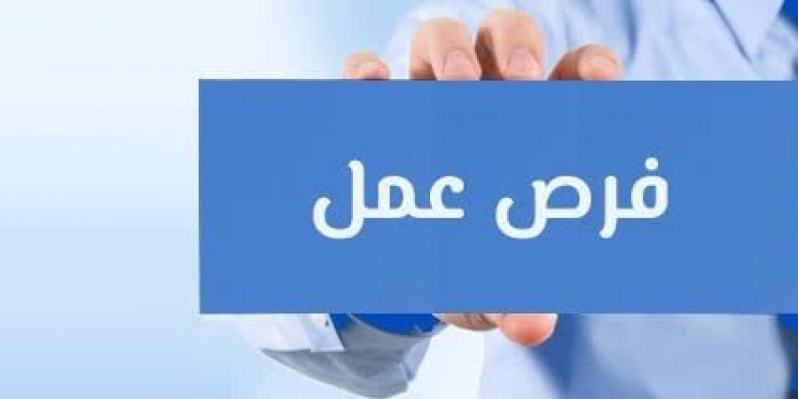 فرص عمل.. الإعلان عن 3209 وظيفة بالمحافظات - هرم مصر