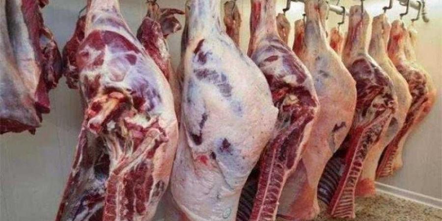 أسعار اللحوم الحمراء اليوم الجمعة - هرم مصر
