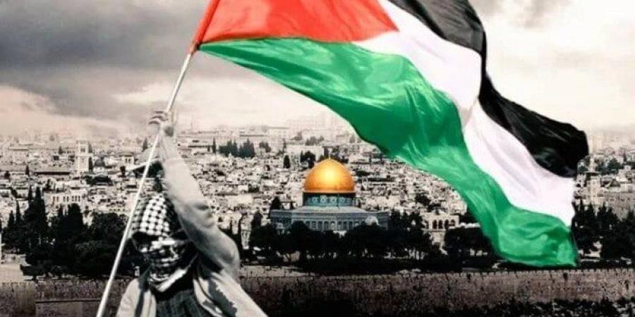 «محامون من أجل فلسطين»: الدعم الأمريكي لحماية إسرائيل مقبرة جديدة لحقوق الإنسان - هرم مصر