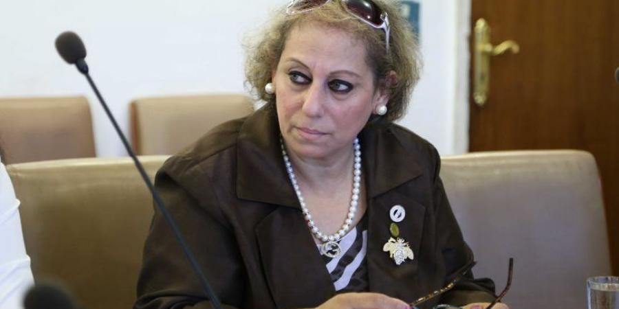 برلمانية: الدولة وفرت بيئة أعمال محفزة تدعم تحقيق معدلات نمو مرتفعة - هرم مصر
