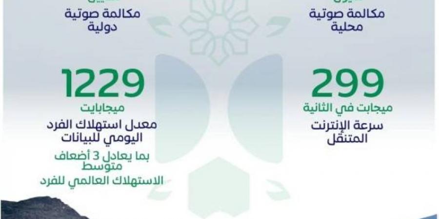 هيئة الاتصالات: (22) مليون مكالمة و(3 ) أضعاف متوسط الاستهلاك العالمي للبيانات يوم عيد الأضحى - هرم مصر