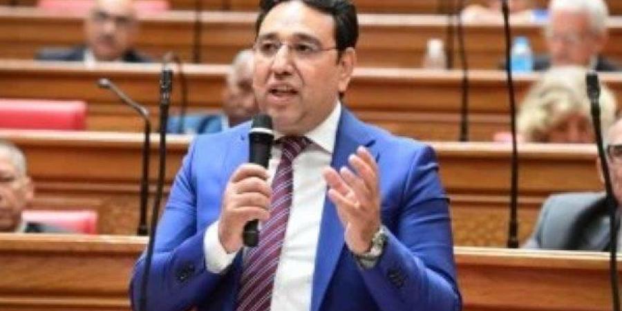 برلماني يطالب المجتمع الدولي بالتوقف عن الصمت المريب تجاه الكارثة الإنسانية في غزة - هرم مصر