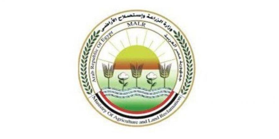 «الزراعة» تؤكد استمرار دعم منظومة الصادرات والواردات الزراعية خلال إجازة العيد - هرم مصر