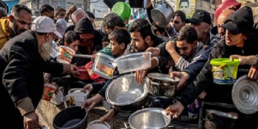 طبيبة أمريكية: ادعاء إسرائيل السماح بدخول المساعدات للقطاع غير صحيح - هرم مصر