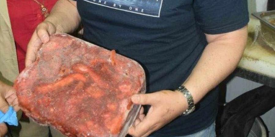 ضبط 225 كيلو أغذية مجهولة المصدر وغير صالحة للاستهلاك في الغربية - هرم مصر