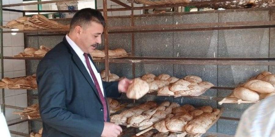 تحرير 193 محضر تمويني وضبط لحوم مذبوحة خارج السلخانة ومجهولة المصدر  بالمنوفية - هرم مصر