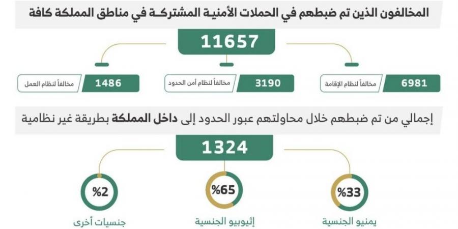 ضبط 11657 مخالفًا لأنظمة الإقامة والعمل وأمن الحدود في مناطق المملكة خلال أسبوع - هرم مصر