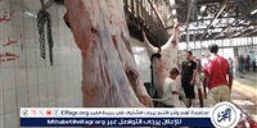 الزراعة: خدمات مجانية ومتابعة بيطرية دقيقة قبل ذبح الأضاحي في ثاني أيام العيد - هرم مصر