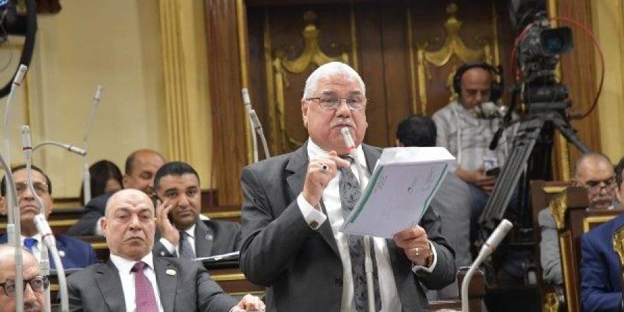 برلماني: تشجيع الصناعات هدف استراتيجي للحكومة الفترة القادمة - هرم مصر