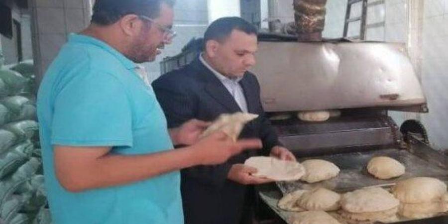 «تموين الإسكندرية» تحرير 14 محضرا ضد المخالفين في ثاني أيام عيد الأضحى المبارك - هرم مصر